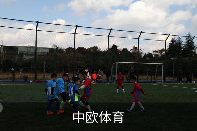 中欧体育体育内容团队